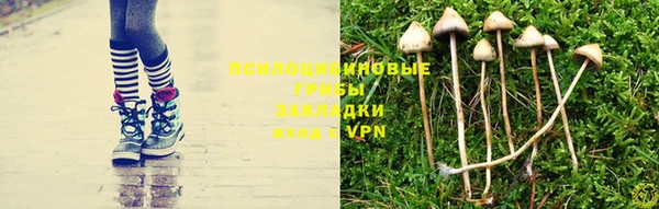 прущая мука Богданович