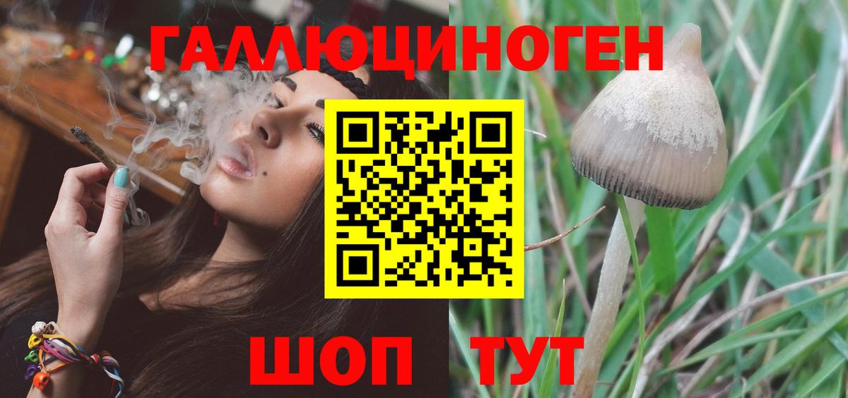 Воскресенск  Галлюциногенные грибы Psilocybe  Вход с VPN 