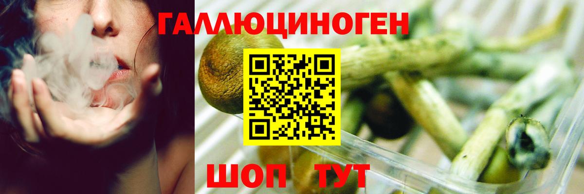 Галлюциногенные грибы мицелий Воскресенск